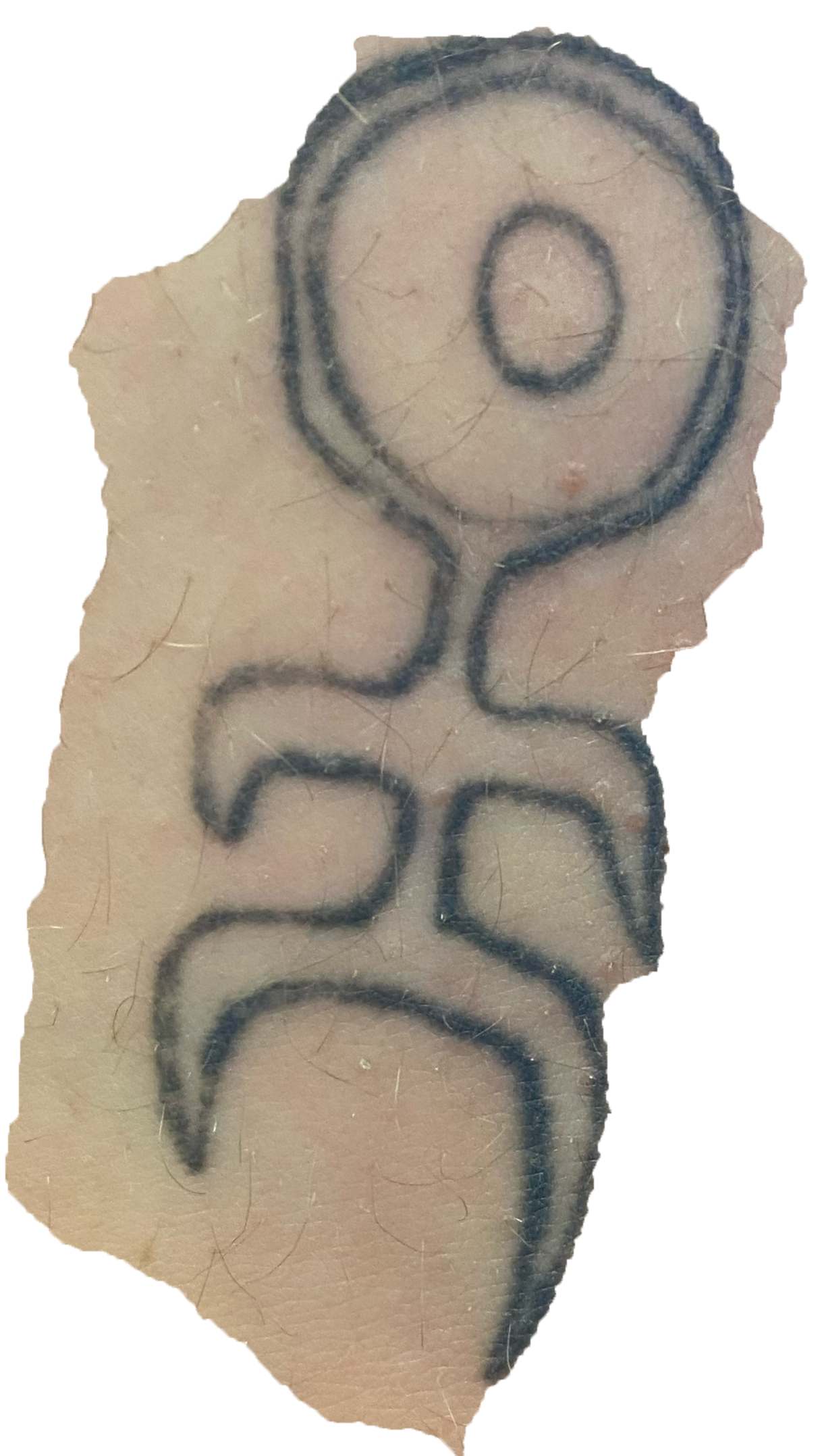 Tattoo Ohm