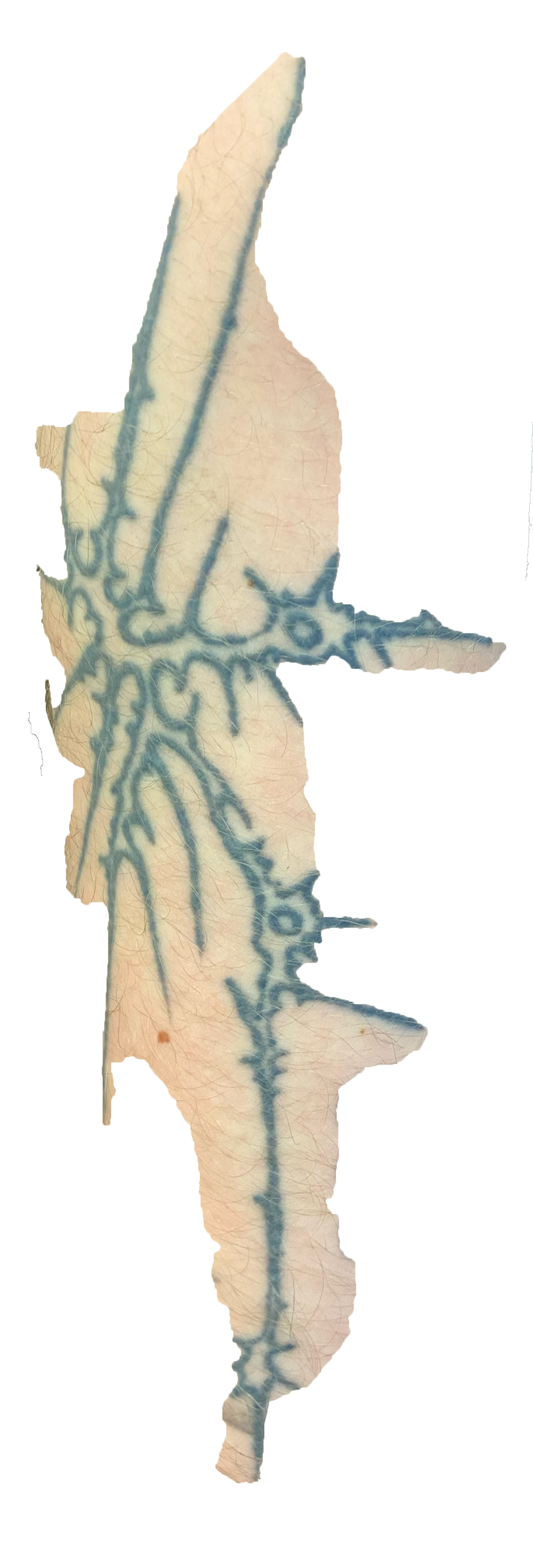 Tattoo TribalSpikes
